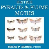 British Pyralid & Plume Moths